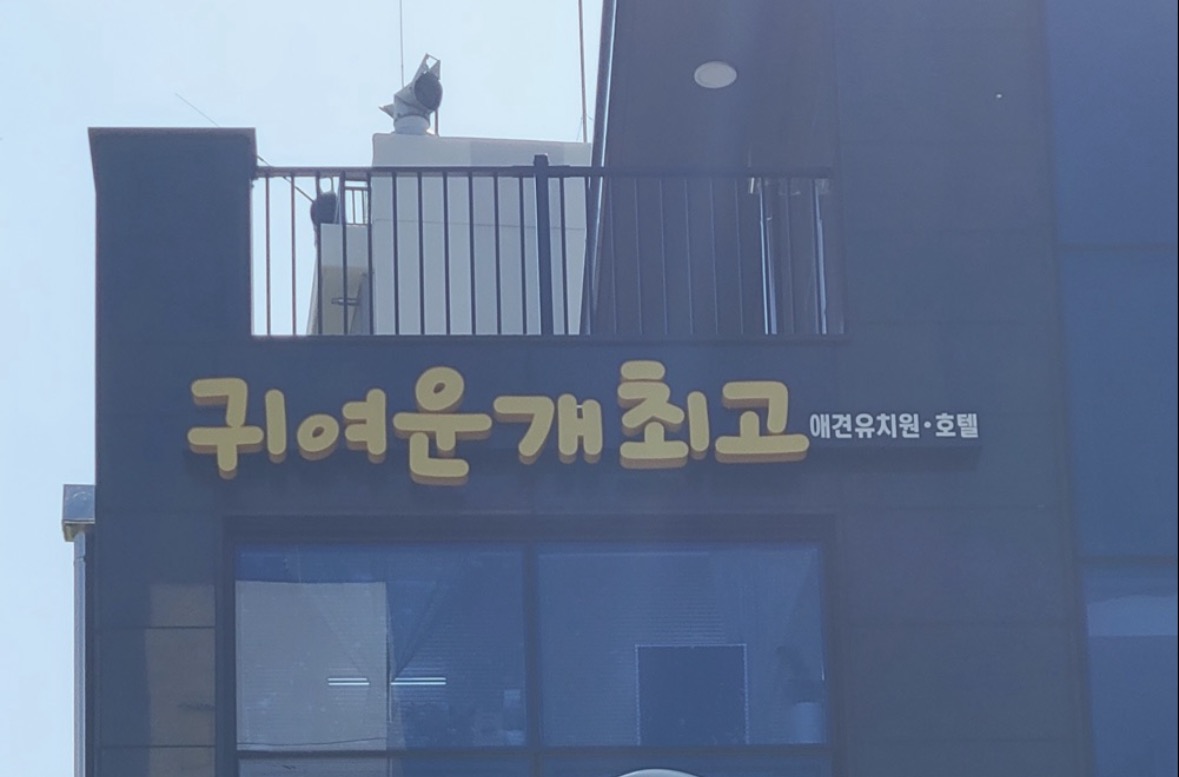 귀여운개최고 도봉구간판