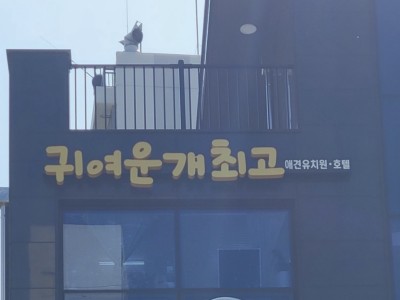 귀여운개최고 도봉구간판
